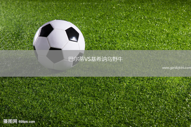 巴尔蒂VS基希讷乌野牛