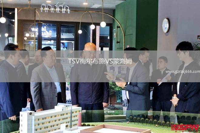 TSV梅尔布施VS蒙海姆