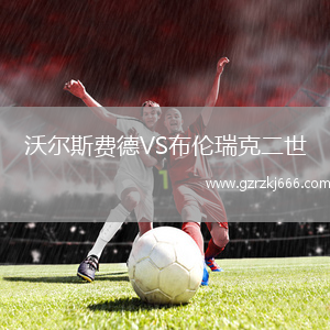 沃尔斯费德VS布伦瑞克二世