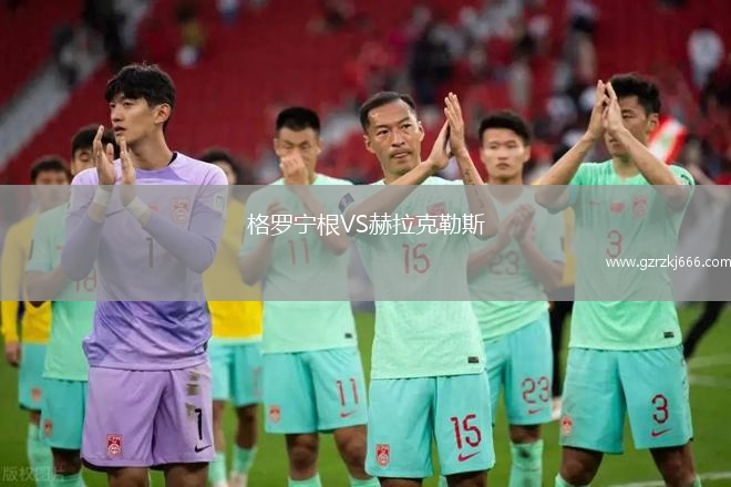 格罗宁根VS赫拉克勒斯