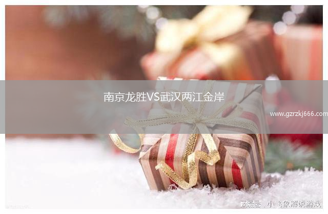 南京龙胜VS武汉两江金岸
