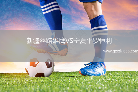 新疆丝路雄鹰VS宁夏平罗恒利
